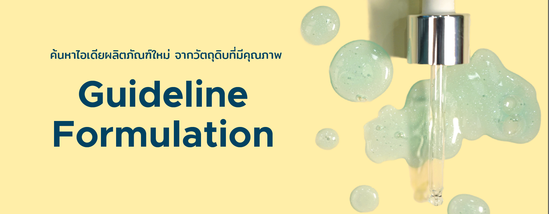 Guideline Formulation Cosmetic