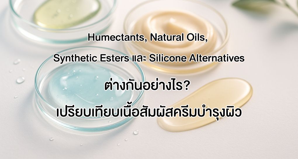 Humectants, Natural Oils, Synthetic Esters Silicone Alternatives